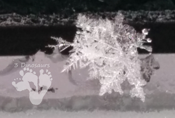 Plank Board Snowflake - 3Dinosaurs.com