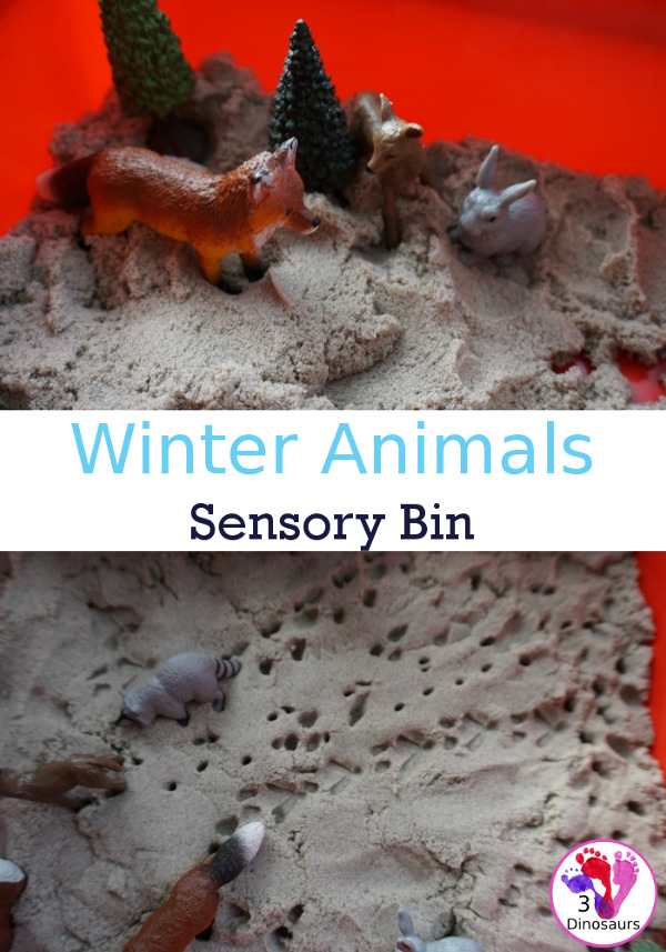Animals in Winter Sensory Bin - a fun sensory bin to explore animal tracks and the animals awake in winter. - 3Dinosaurs.com
