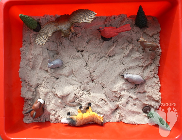 Animals in Winter Sensory Bin - a fun sensory bin to explore animals tracks and the animals awake in winter. - 3Dinosaurs.com