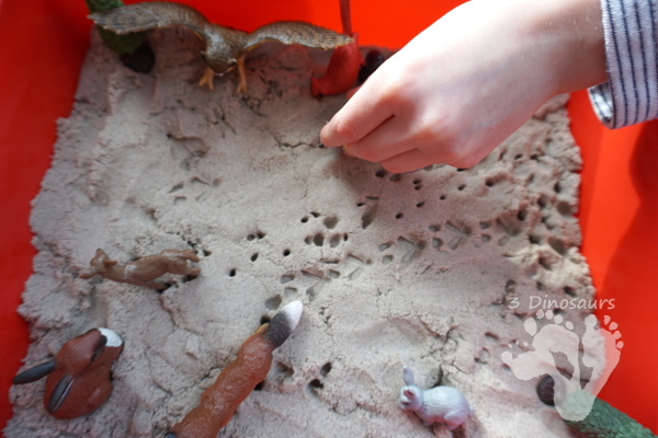 Animals in Winter Sensory Bin - a fun sensory bin to explore animals tracks and the animals awake in winter. - 3Dinosaurs.com
