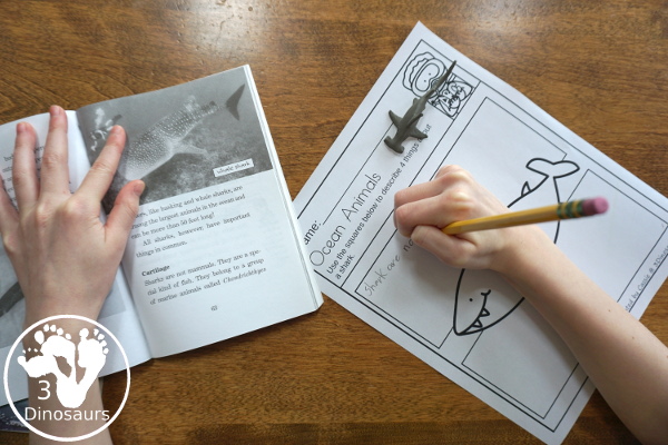 Free Ocean Animals Information Writing with Dolphins at Daybreak- study and learn about 7 ocean animals while reading Dolphins at Daybreak - 3Dinosaurs.com