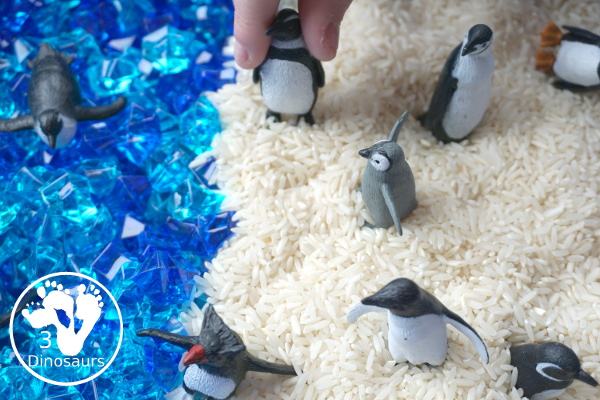 Penguin Rice Sensory Bin - with penguins, blue acrylic rocks and rice for a fun polar animal sensory bin that kids can play in. - 3Dinosaurs.com