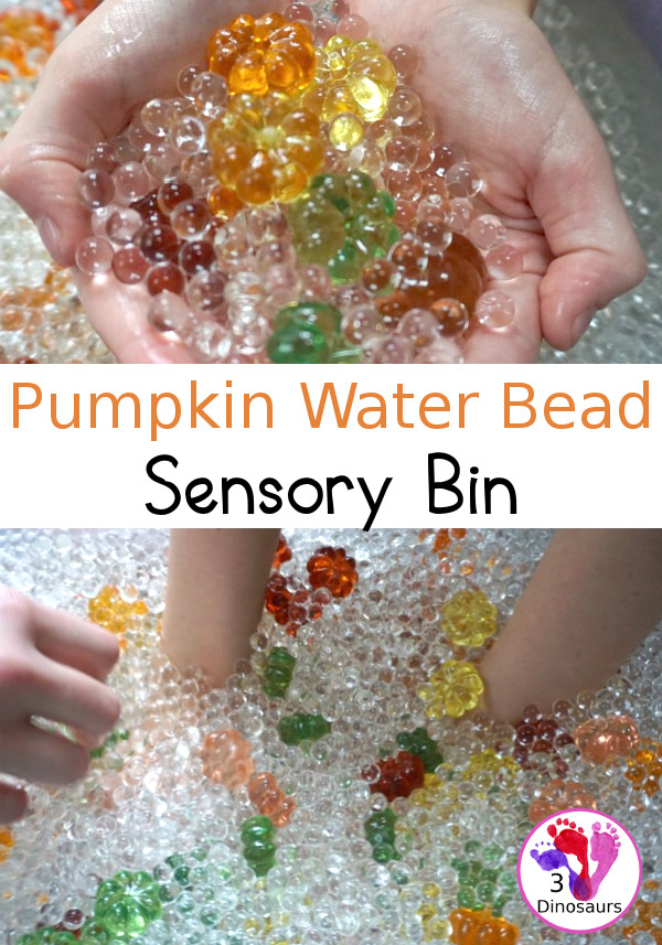 Pumpkin Water Beads Sensory Bin - fun sensory play with clear water beads and acrylic pumpkins make a fun sensory play for the fall - 3Dinosaurs.com
