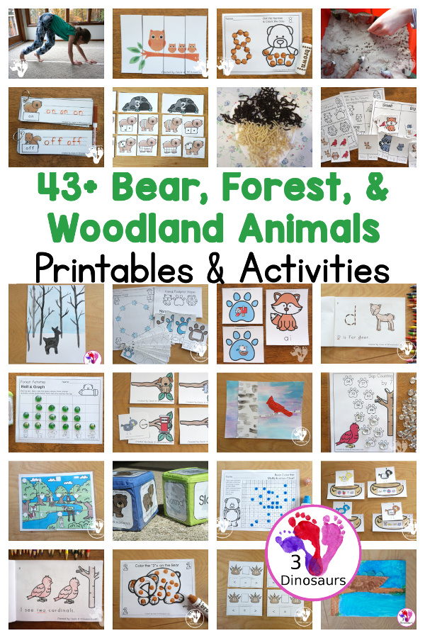 43+ Bear, Forest, and Woodland Animals Activities & Printables - a fun collection of bear, forest, and woodland animals for kids to learn. It includes math, ABCs, numbers, gross motor counting and more - 3Dinosaurs.com