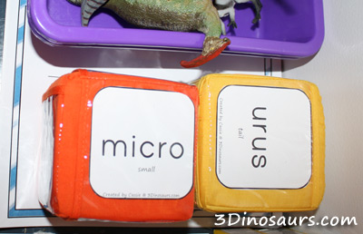 Girls Dinosaur Party!