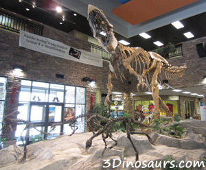 Thanksgiving Point: Museum of Ancient Life