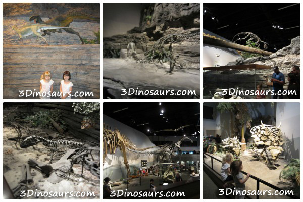 Thanksgiving Point: Museum of Ancient Life