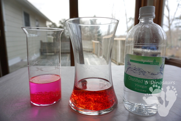 Water beads, Vinegar & Baking Soda STEM - hands-on experiment for kids to try and learn about water flow in and out of water beads - 3Dinosaurs.com