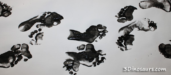 Dinosaur Themed Footprint Activity - having kids make their own track wave of footprints to learn more about dinosaur footprints - 3Dinosaurs.com