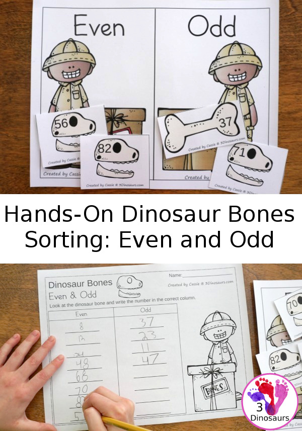 Free Hands-On Dinosaur Bones Sorting: Even and Odd - 16 bones to sort with sorting mat and optional worksheet - 3Dinosaurs.com