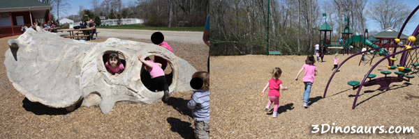 The Dinosaur Place Review