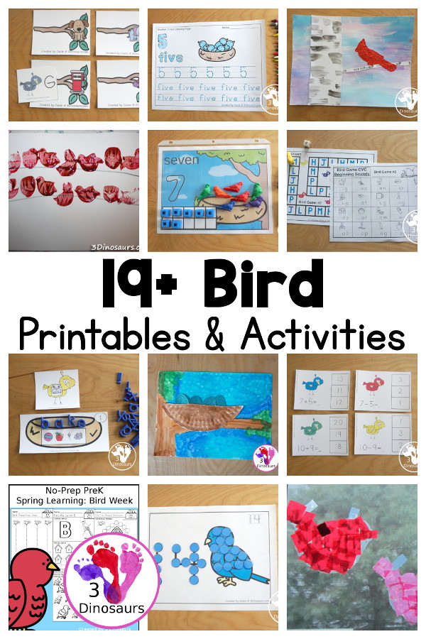 19+ Bird Printables & Activities For Kids - with bird printable packs, bird ABC printables, bird number printables, bird math printables, bird crafts and more - 3Dinosaurs.com