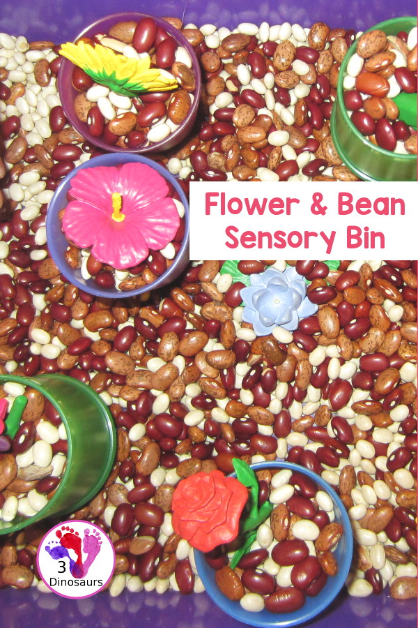 Flowers And Bean Sensory Bin - a simple sensory bin with mixed beans and flowers in the beans with some cups - 3Dinosaurs.com