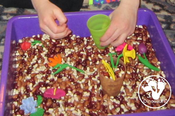 Flowers And Bean Sensory Bin - a simple sensory bin with mixed beans and flowers in the beans with some cups - 3Dinosaurs.com
