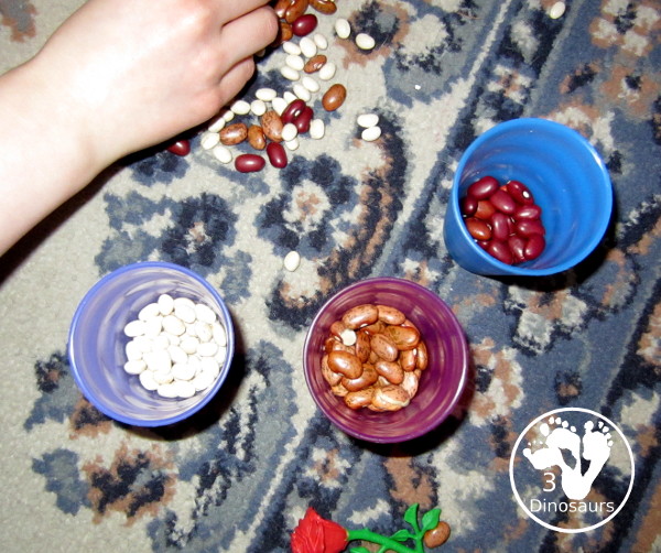Flowers And Bean Sensory Bin - a simple sensory bin with mixed beans and flowers in the beans with some cups - 3Dinosaurs.com