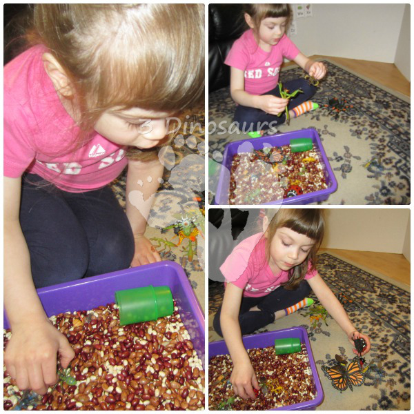 Bug Sensory Bin - 3Dinosaurs.com