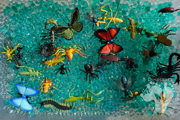 Water Bead Bug Sensory Bin - a fun easy sensory activity that kids can have fun exploring with - 3Dinosaurs.com
