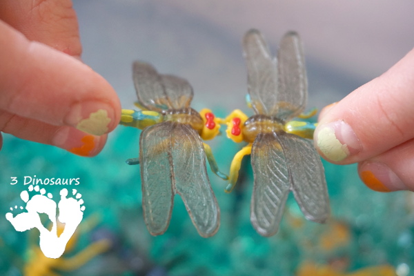Water Bead Bug Sensory Bin - a fun easy sensory activity that kids can have fun exploring with - 3Dinosaurs.com