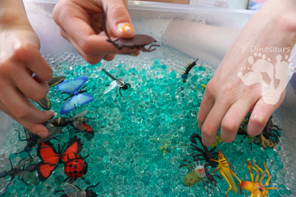 Water Bead Bug Sensory Bin - a fun easy sensory activity that kids can have fun exploring with - 3Dinosaurs.com
