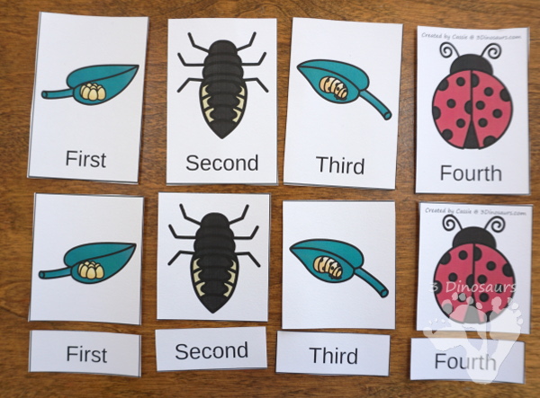 Spring Life Cycle Sequencing Sets: Ant, Butterfly, Frog and Ladybug - 4 new sequencing sets: Life Cycle of a Frog, Life Cycle of a Butterfly, Life Cycle of a Ladybug, and Life Cycle of an Ant . They have clip cards, task cards, no-prep worksheets and easy reader books $ - 3Dinosaurs.com #printablesforkids #sequencingforkids #lifecycle #springprintables #tpt #teacherspayteachers