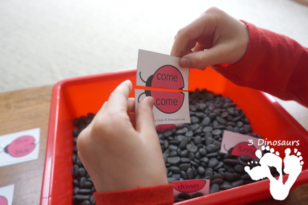 Free Ladybug Sight Word Matching Puzzles - all 220 Dolch sight words in simple 2 piece puzzles for kids to have fun matching - 3Dinosaurs.com