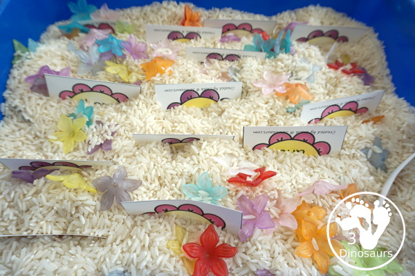 Free Spring Themed Flower Sight Word Matching Puzzles with 220 Sight Words - with two-piece matching puzzles for all 220 Dolch Sight words. A very fun way to work on sigh words - 3Dinosaurs.com