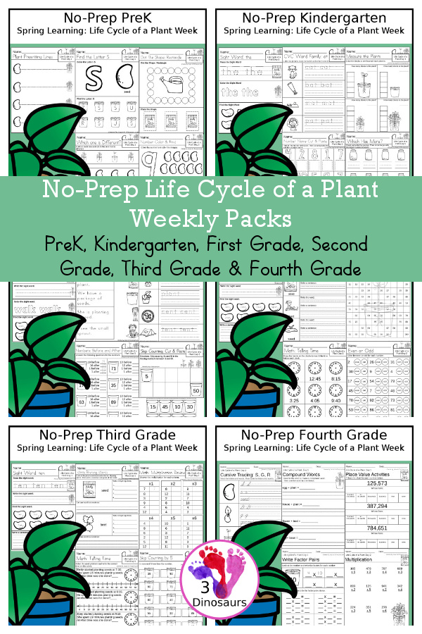 Life Cycle of a Plant No-Prep Weekly Packs PreK, Kindergarten, First Grade, Second Grade, Third Grade & Fourth Grade with 5 days of activities to do for each grade level With loads of plant themes - You will find a mix of math, language, and more - These are easy to use packs for spring learning, homework, early finisher, and morning work. Easy no-prep printables for kids with four pages for each day - 3Dinosaurs.com