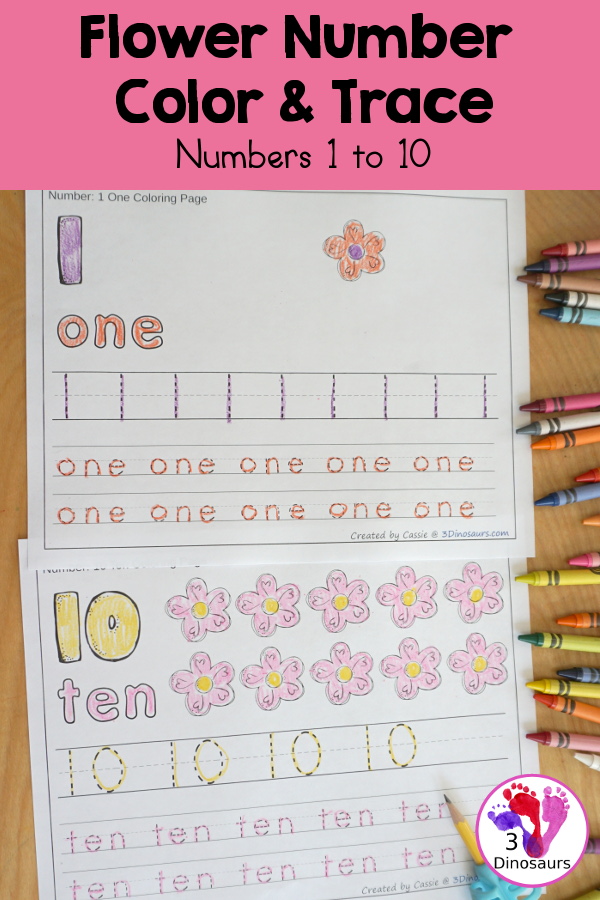 Free Flower Number Color & Trace - Numbers o to 10 with counting the flowers and tracing the number and number word for each number with 11 pages of printables for prek and kindergarten - 3Dinosaurs.com