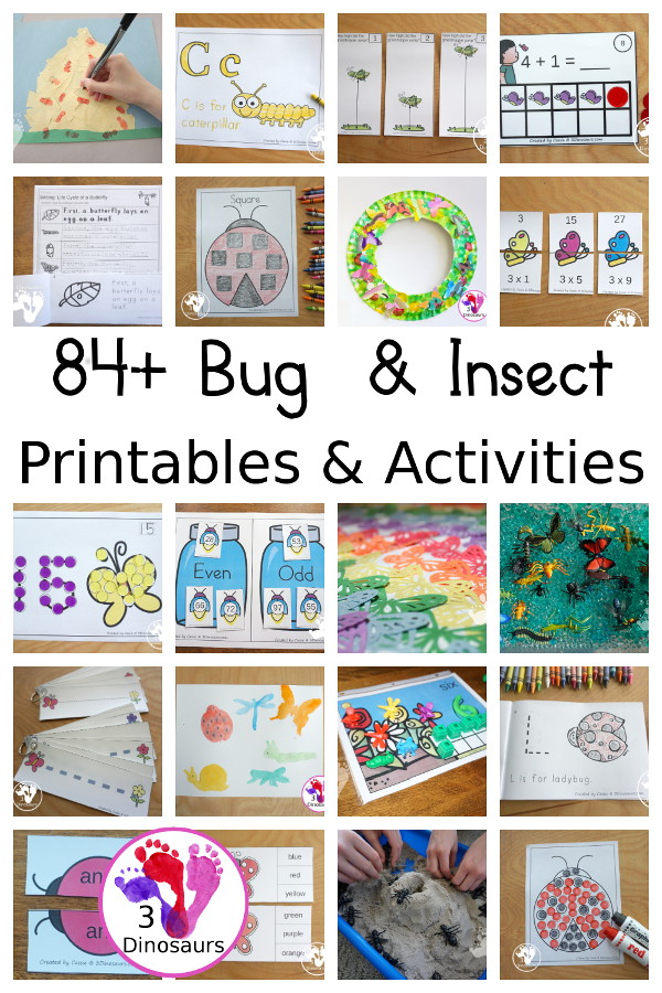 Bug & Insect Activities & Printables on 3Dinosaurs.com