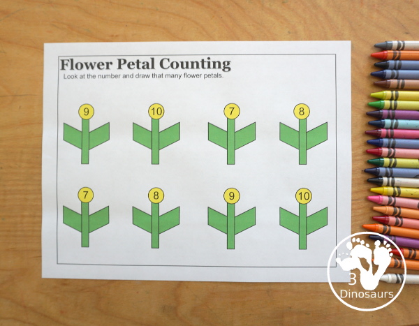 Free Flower Petal Counting & Math Printable - counting pages from 1 to 10 and addition pages working on addition up to 10. Easy with color and black and white options. - 3Dinosaurs.com