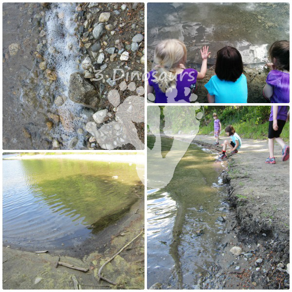 Exploring Nature at Walden Pond - Free Nature Journal- 3Dinosaurs.com