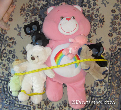 Measuring Teddy Bears
