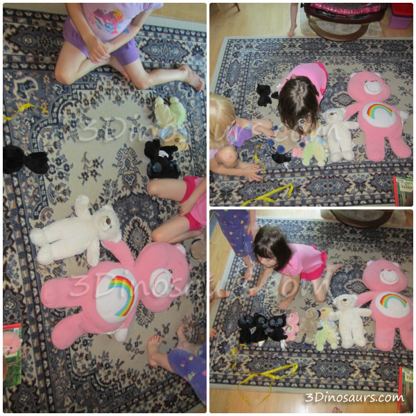 Measuring Teddy Bears