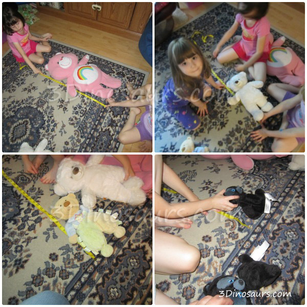 Measuring Teddy Bears