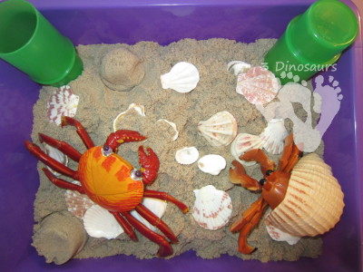Beach Sensory Bin - 3Dinosaurs.com