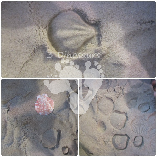 Beach Sensory Bin - 3Dinosaurs.com