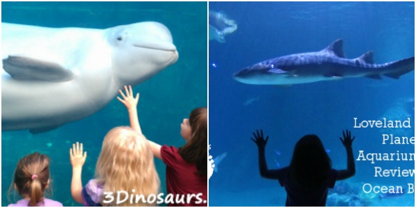 60 + Ocean & Beaches Activities, Printables, Books and and more - 3Dinosaurs.com