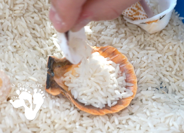 Easy Sensory Play: Shell and Rice Sensory Bin - a simple and easy bin that kids can have fun playing in. - 3Dinosaurs.com