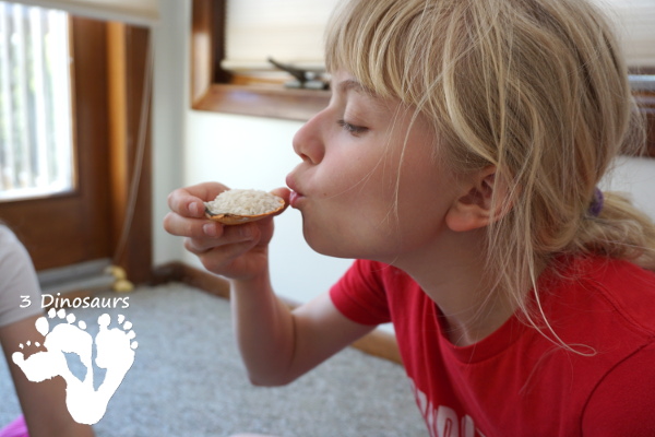 Easy Sensory Play: Shell and Rice Sensory Bin - a simple and easy bin that kids can have fun playing in. - 3Dinosaurs.com