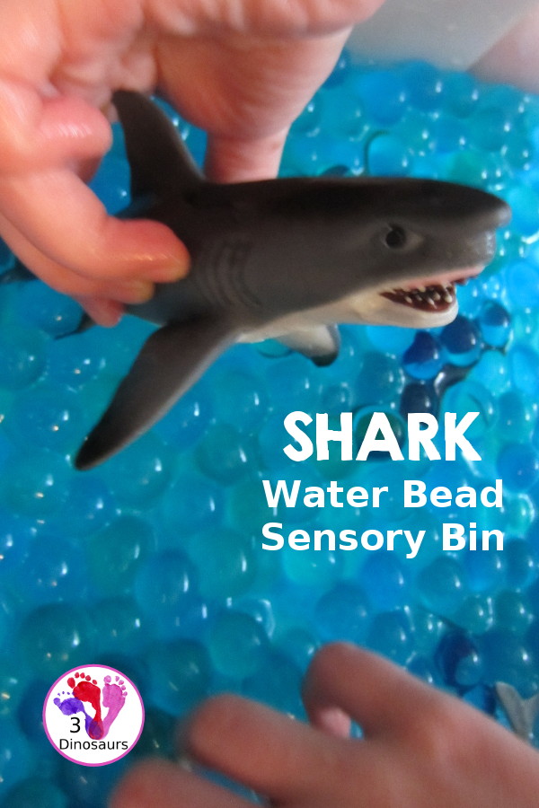 Shark Water Bead Sensory Bin - s fun sensory play for kids learning about shark. This is a great shark week sensory bin that kids can use - 3Dinosaurs.com