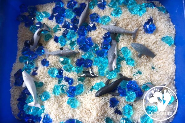 Dolphin and Whale Sensory Bin for kids - a simple sensory bin you can do for an ocean theme with kids. A great preschool and kindergarten age sensory bin for kids - 3Dinosaurs.com
