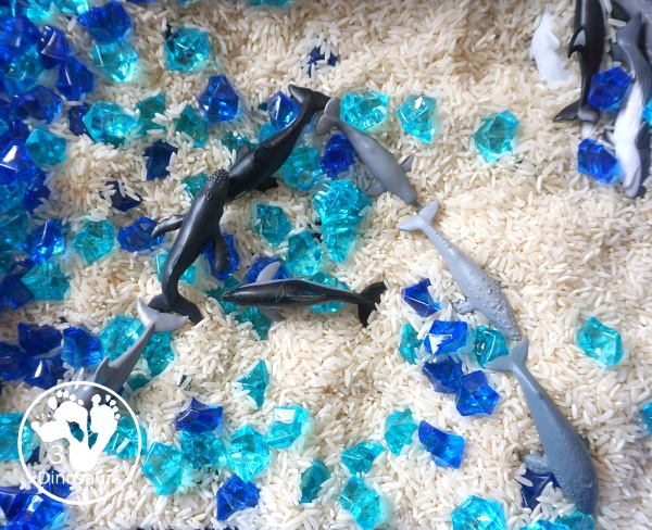 Dolphin and Whale Sensory Bin for kids - a simple sensory bin you can do for an ocean theme with kids. A great preschool and kindergarten age sensory bin for kids - 3Dinosaurs.com