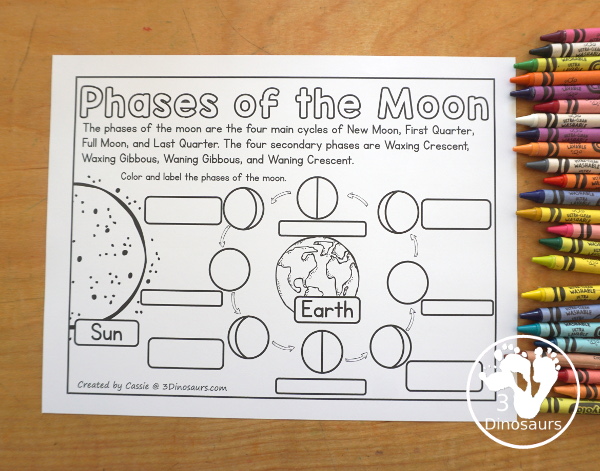 Free Phases of the Moon Coloring Page Printables - you have information at the top about the different phases of the moon. You have the Sun, Earth and 8 phases of the moon for kids to color. You can work on learning these phases in this simple coloring page. And it has Northern and Southern Hemisphere options - 3Dinosaurs.com