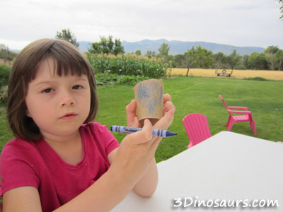 Peacock: coloring paper roll