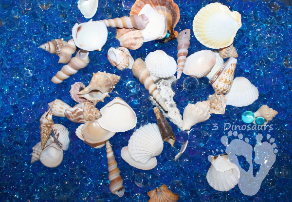 Shell and Water Sensory Bin - 3Dinosaurs.com