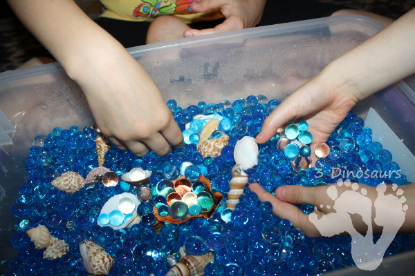 Shell and Water Sensory Bin - 3Dinosaurs.com