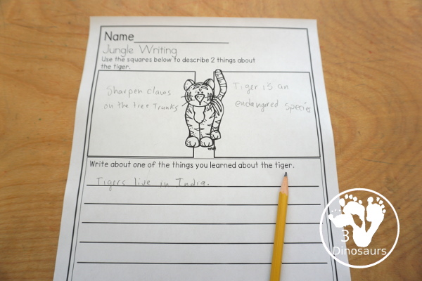 Free Jungle Writing with Tigers at Twilight - A fun writing activities with six different animals tigers, elephants, monkeys, rhinos, snake, and peacock. You have fact writing and and sentence writing- 3Dinosaurs.com