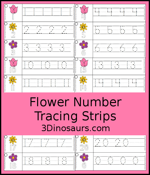Free Flower Themed Number Tracing Strips - with numbers 0 to 20. You have numbers to trace and an example of how to trace the numbers with three fun flowers that are great for spring. - 3Dinosaurs.com