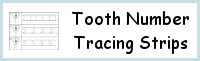Tooth Number Tracing Strips Printables