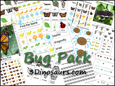 Bug Printables